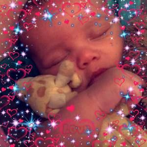 Meet your Posher, Rose